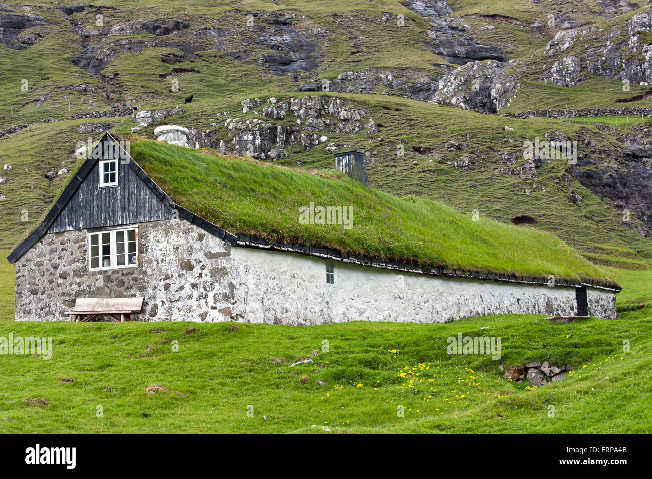 Traditionelles Haus mit Rasen Dach in Saksun, Färöer Inseln Stockfoto