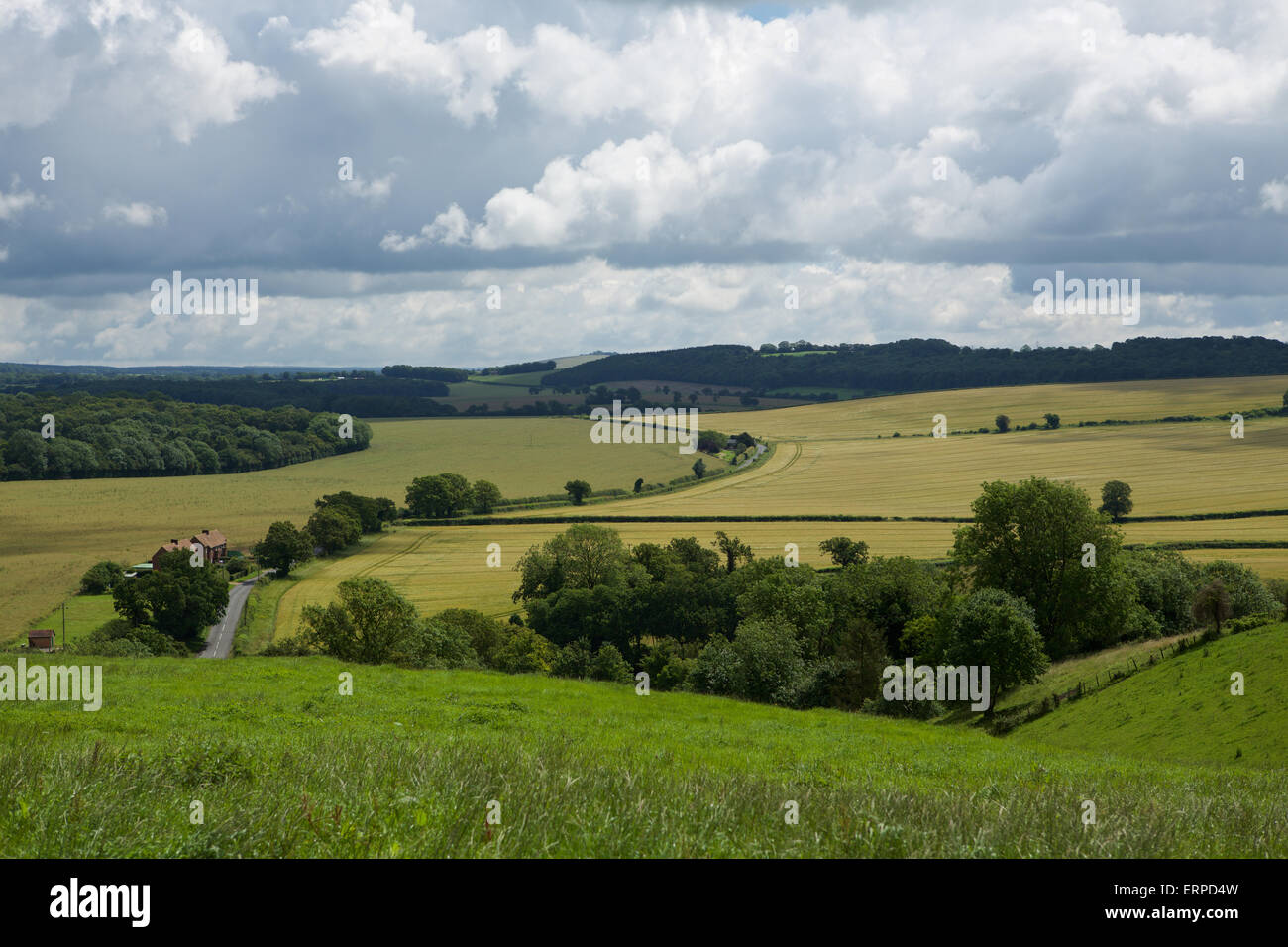 Erhöhten Blick auf die Landschaft von Hampshire mit einer kleinen Straße schlängelt durch das Tal Stockfoto