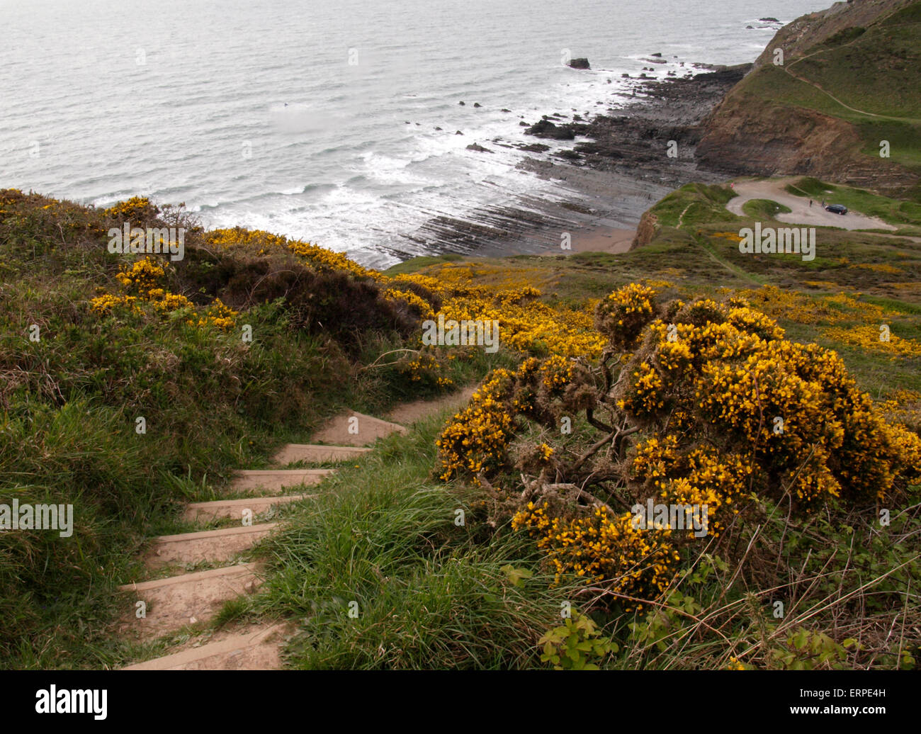Schritte entlang der Südwestküste-Weg hinunter zum Strand an Welcombe Mündung, Devon, UK Stockfoto
