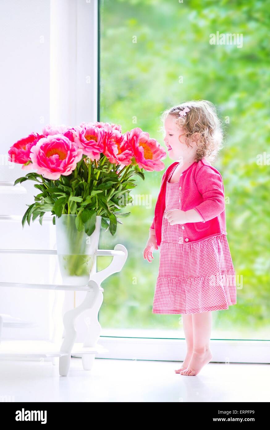 Niedliche glücklich Kleinkind Mädchen mit dem lockigen Haar trägt ein rosa  Kleid Spiel mit ein paar schöne große Pfingstrose Blumen in einer vase  Stockfotografie - Alamy