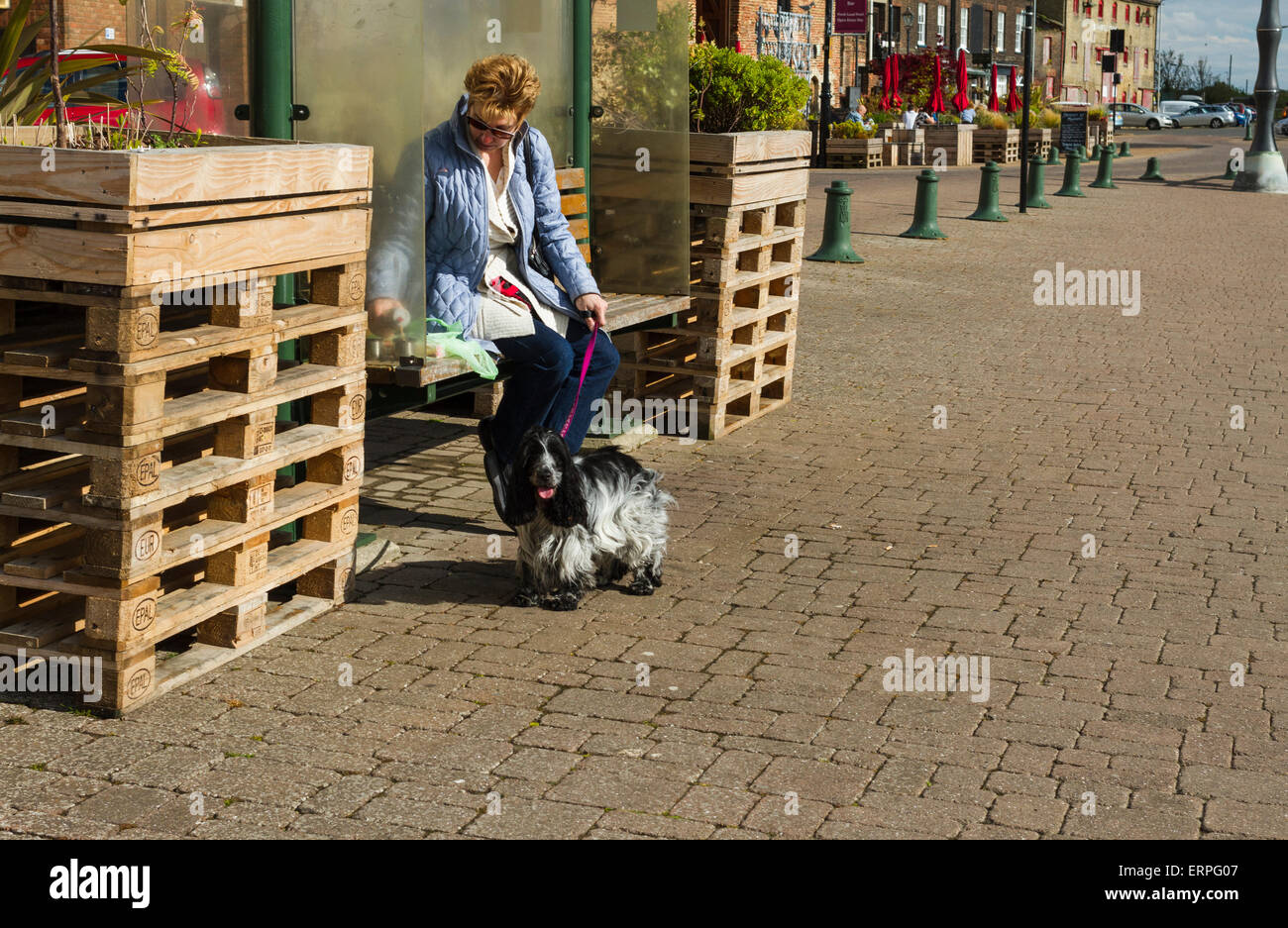 Eine Dogwalker ruht auf einem Fluss Sitz in King's Lynn, Norfolk Stockfoto