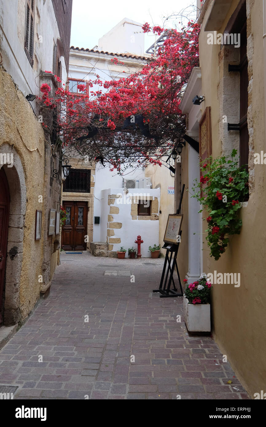 Kreta, Chania Altstadt, Stadt, Hof, Griechenland, Griechisch, mittelalterliche, historische Blumen Tür Stockfoto