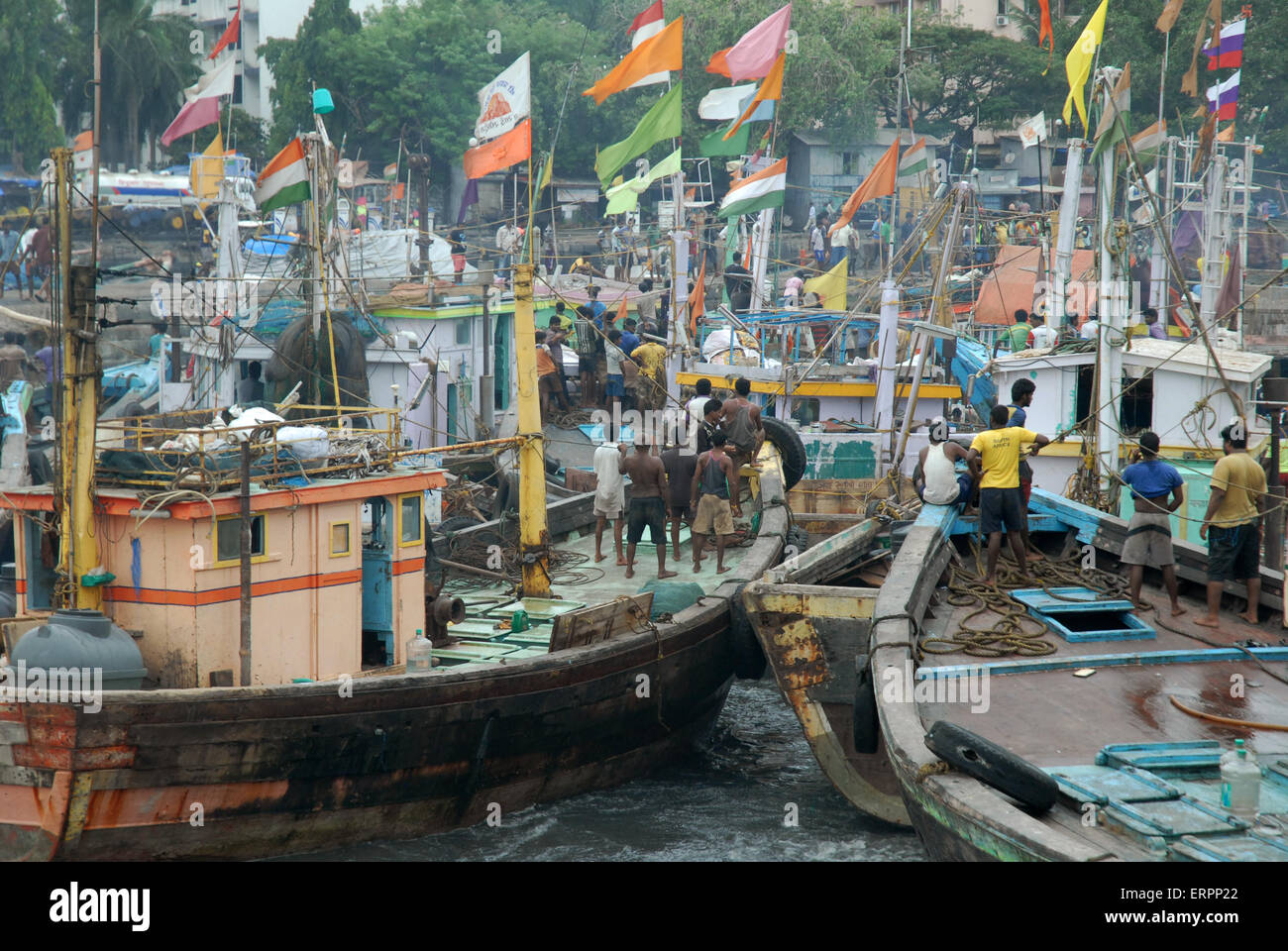 Angelboote/Fischerboote verankert bei Sassoon Docks Fish Market, Mumbai, Maharashtra Indien. Stockfoto