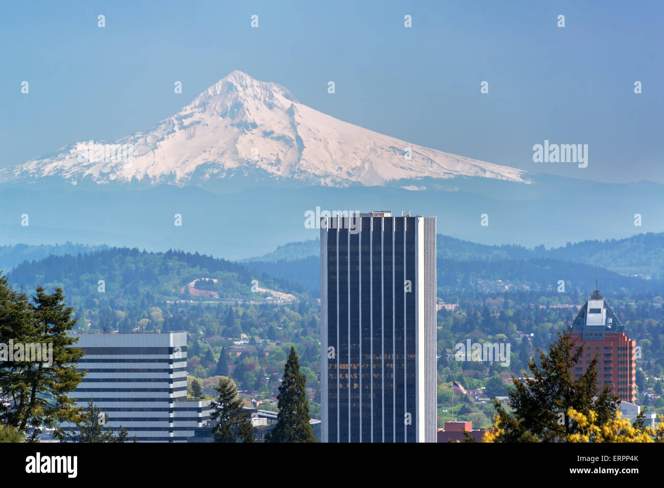 Wolkenkratzer in der Innenstadt von Portland, Oregon mit Mount Hood erhebt sich über Sie Stockfoto