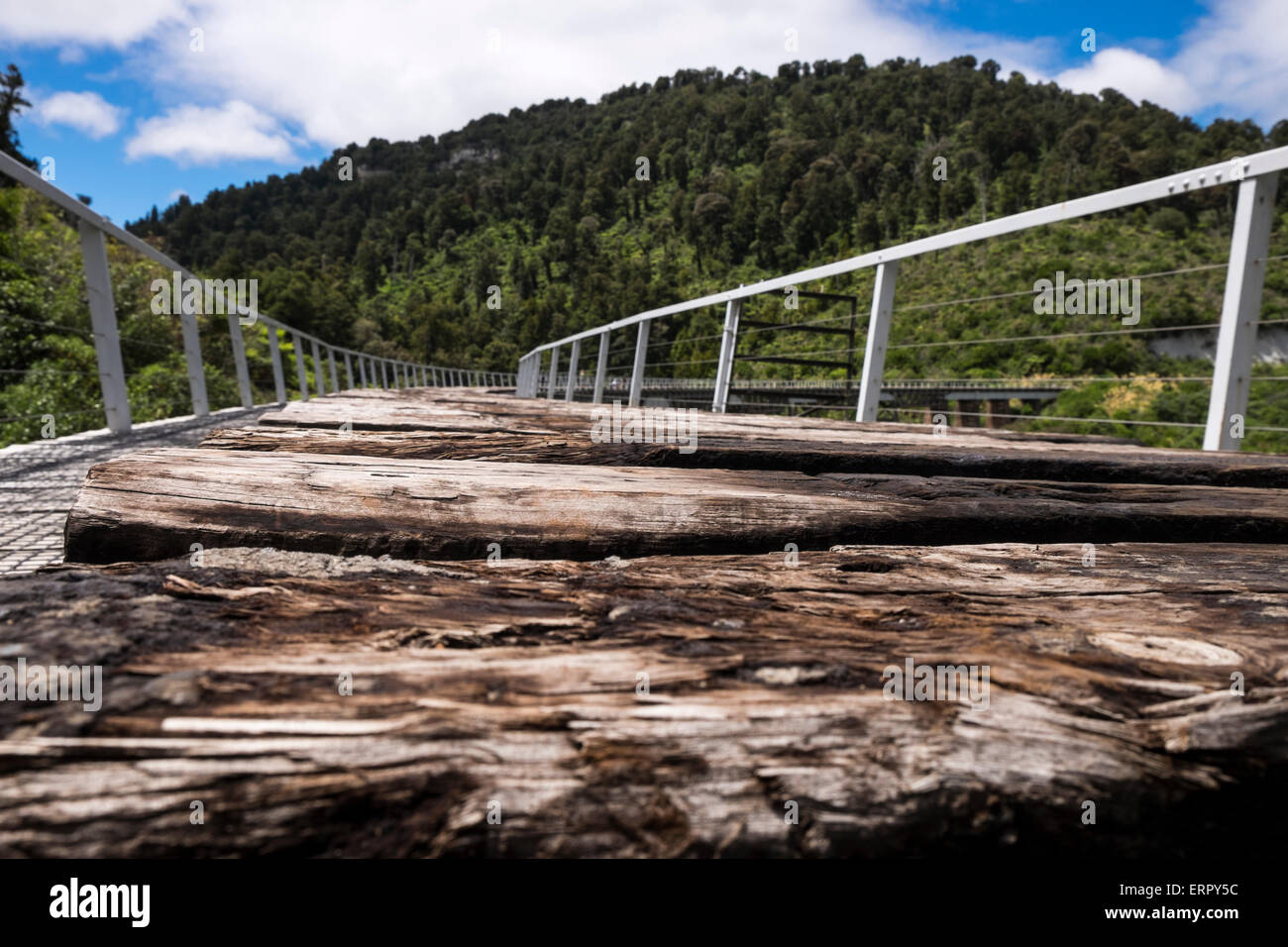 Überqueren die alten stillgelegte Hapuawhenua Viadukt nun offen für Wanderer und Radfahrer im Rahmen der Kulturpfad, Neuseeland. Stockfoto