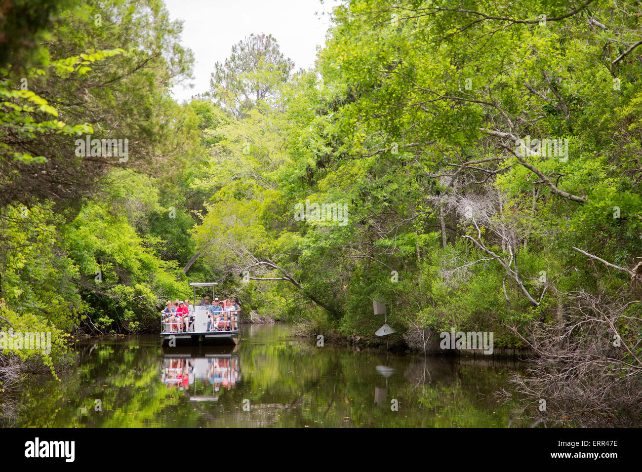 Homosassa Springs, Florida - Besucher Bootsfahrt eine auf dem Pfeffer Bach in Homosassa Springs Wildlife State Park. Stockfoto