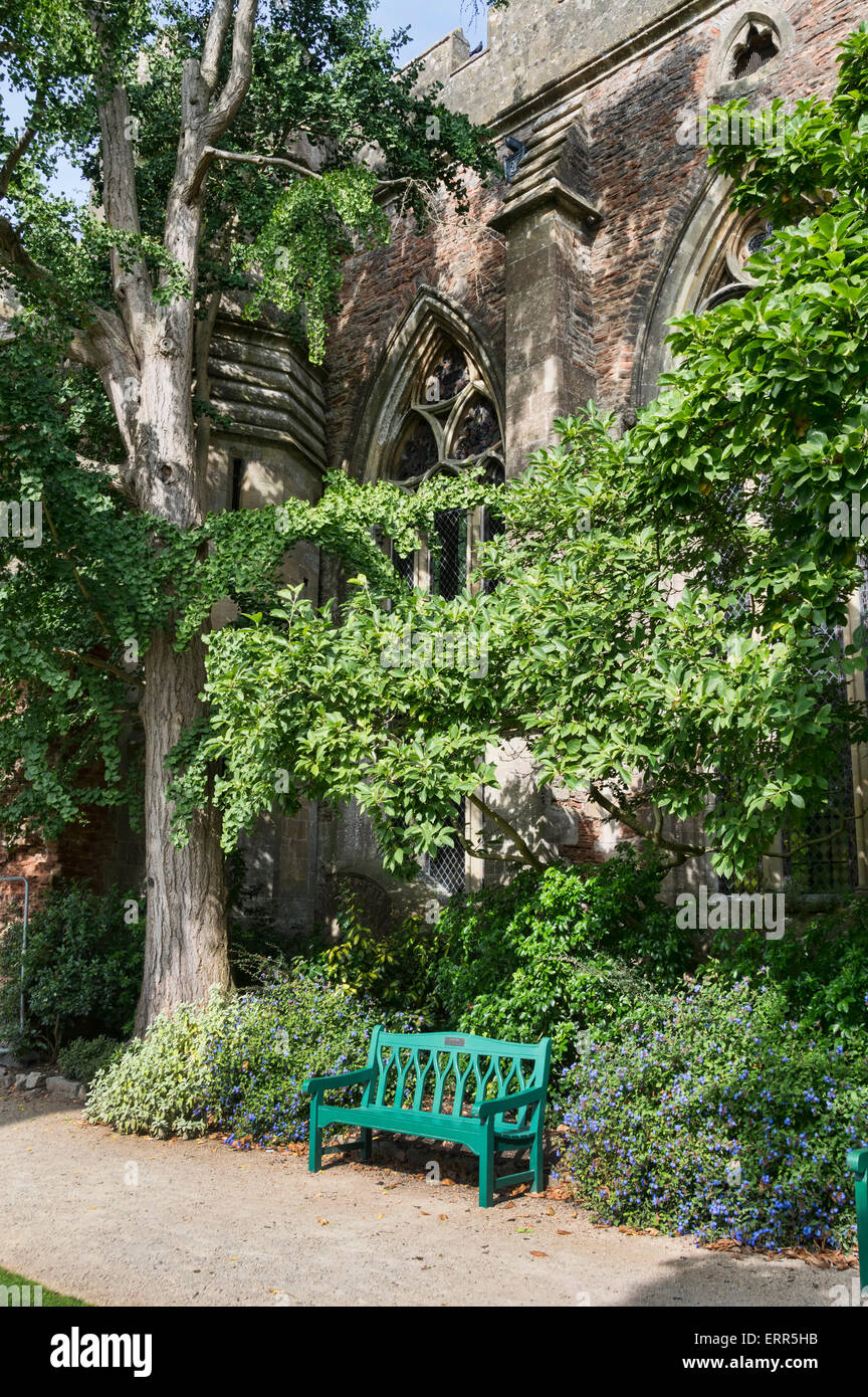 Wells Bishops Palace Gardens, Stadt, Somerset, England UK Stockfoto