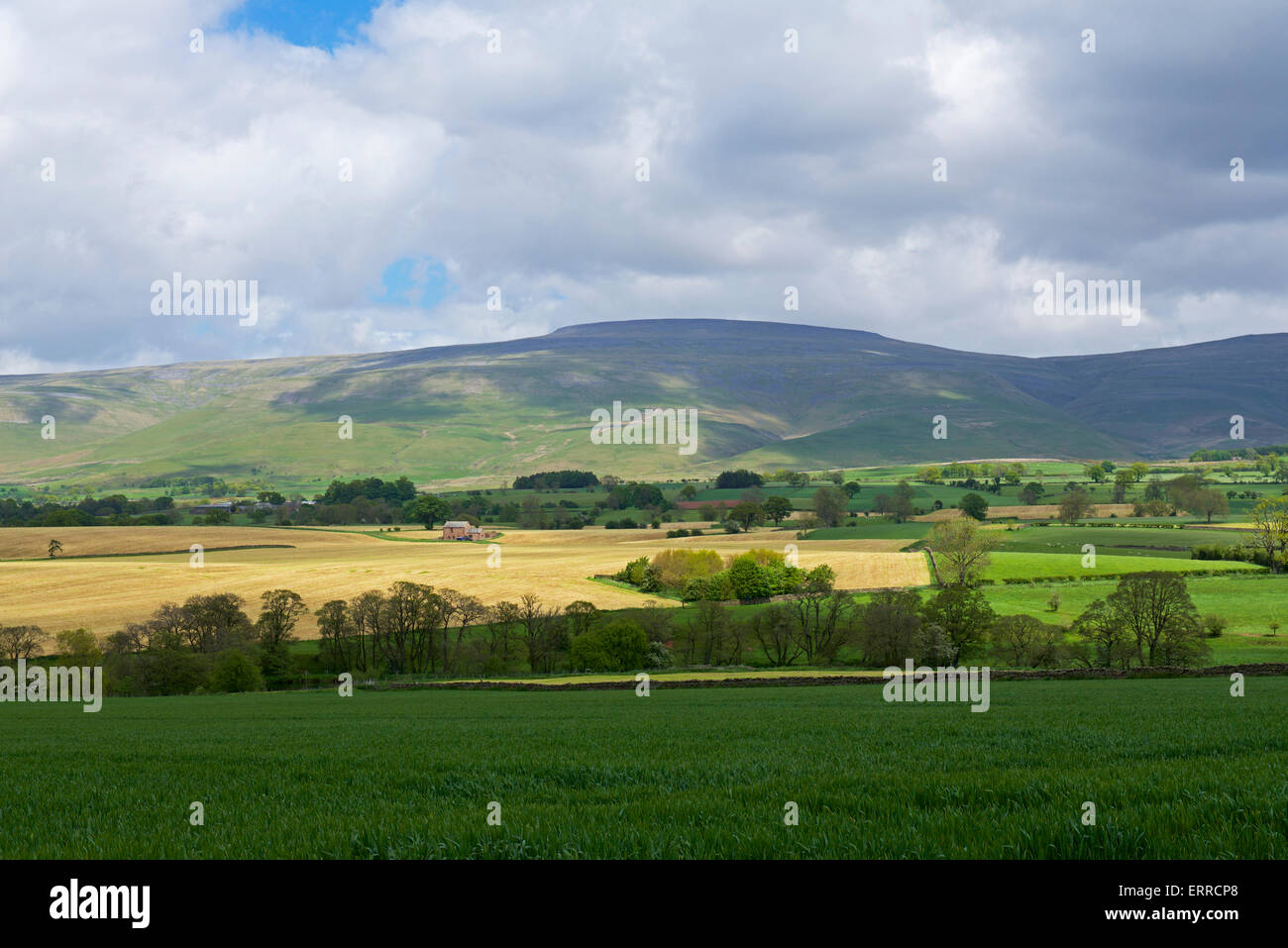 Ackerland, gesichert durch Kreuz fiel, Eden Valley, Cumbria, England UK Stockfoto
