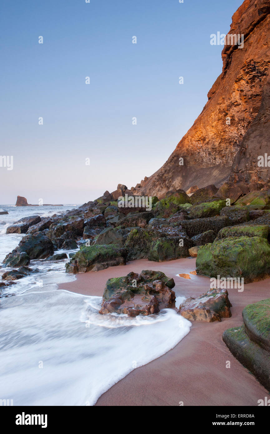 Hoch aufragenden Klippen, schwarz Nab, ruhiges Meer, Sand, felsige Küstenlinie zu glätten, klarer blauen Himmel & Abendsonne - malerische gegen Bay, North Yorkshire, GB, UK. Stockfoto