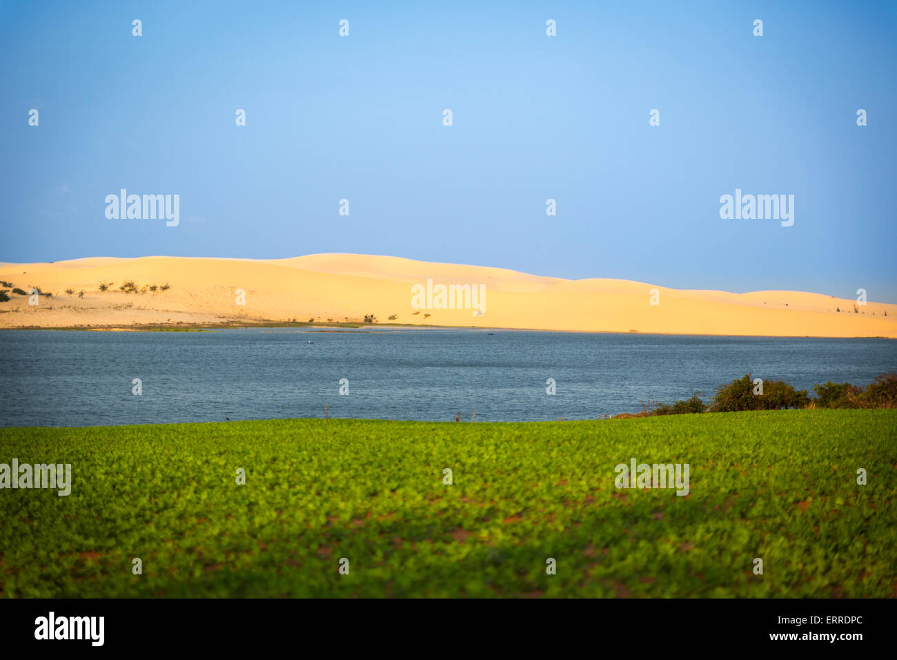 Weißen Sanddünen und blauen See, Mui Ne, Vietnam Stockfoto