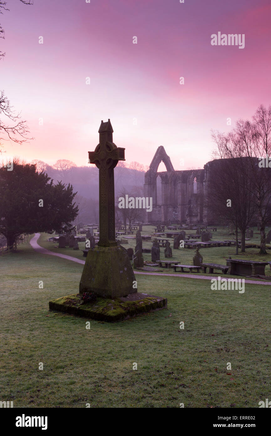 Nebligen Winter Sunrise mit rosa Himmel über Grabsteine & Steindenkmal cross im Vordergrund - malerische Bolton Abbey Ruinen, Yorkshire Dales, England, UK. Stockfoto