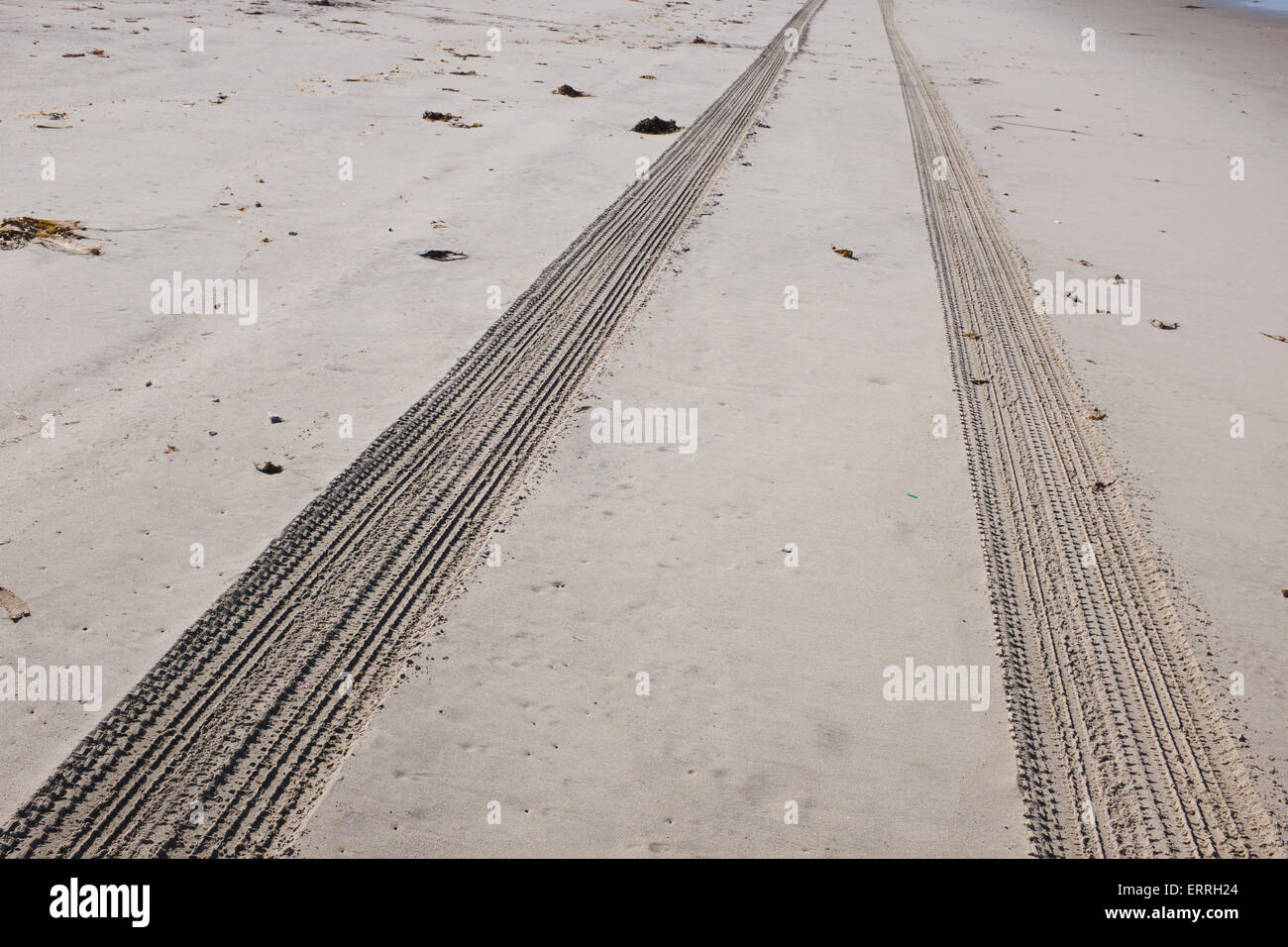 Strand camping in Marine Base Camp Pendleton Stockfoto