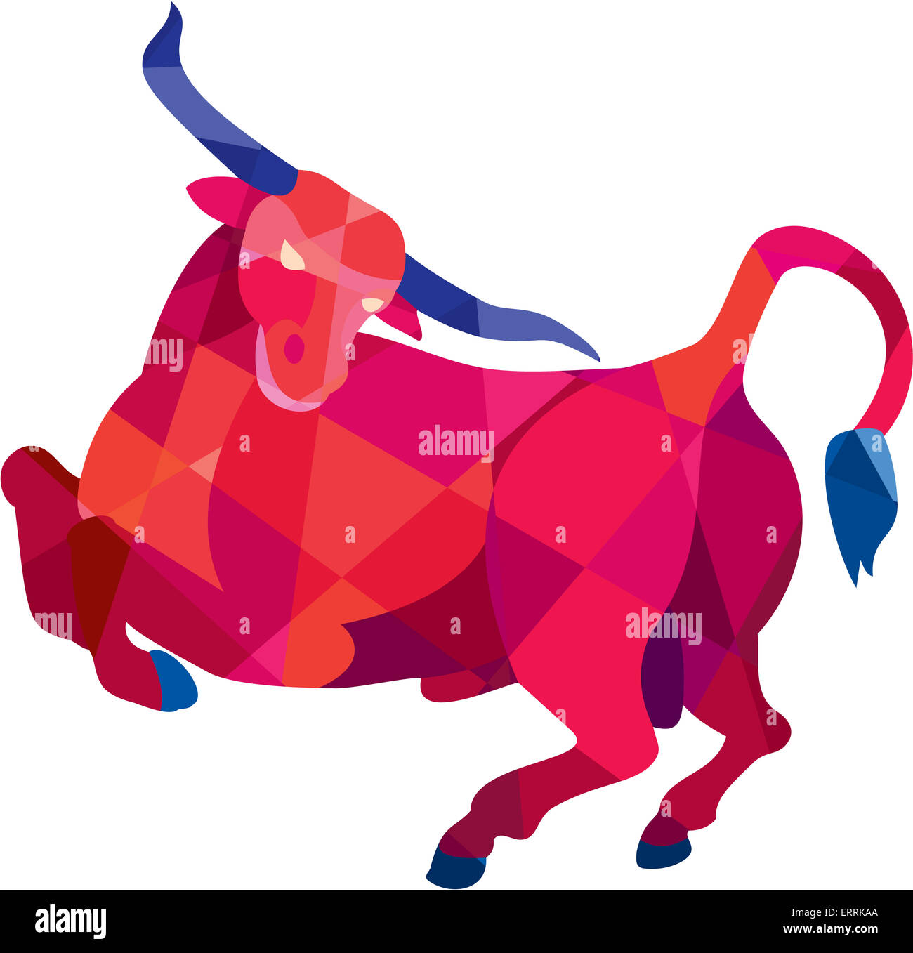 Niedrige Polygon Stil Abbildung eines Texas Longhorn Stier tänzelnden gesehen von der Seite auf isolierten weißen Hintergrund gesetzt. Stockfoto