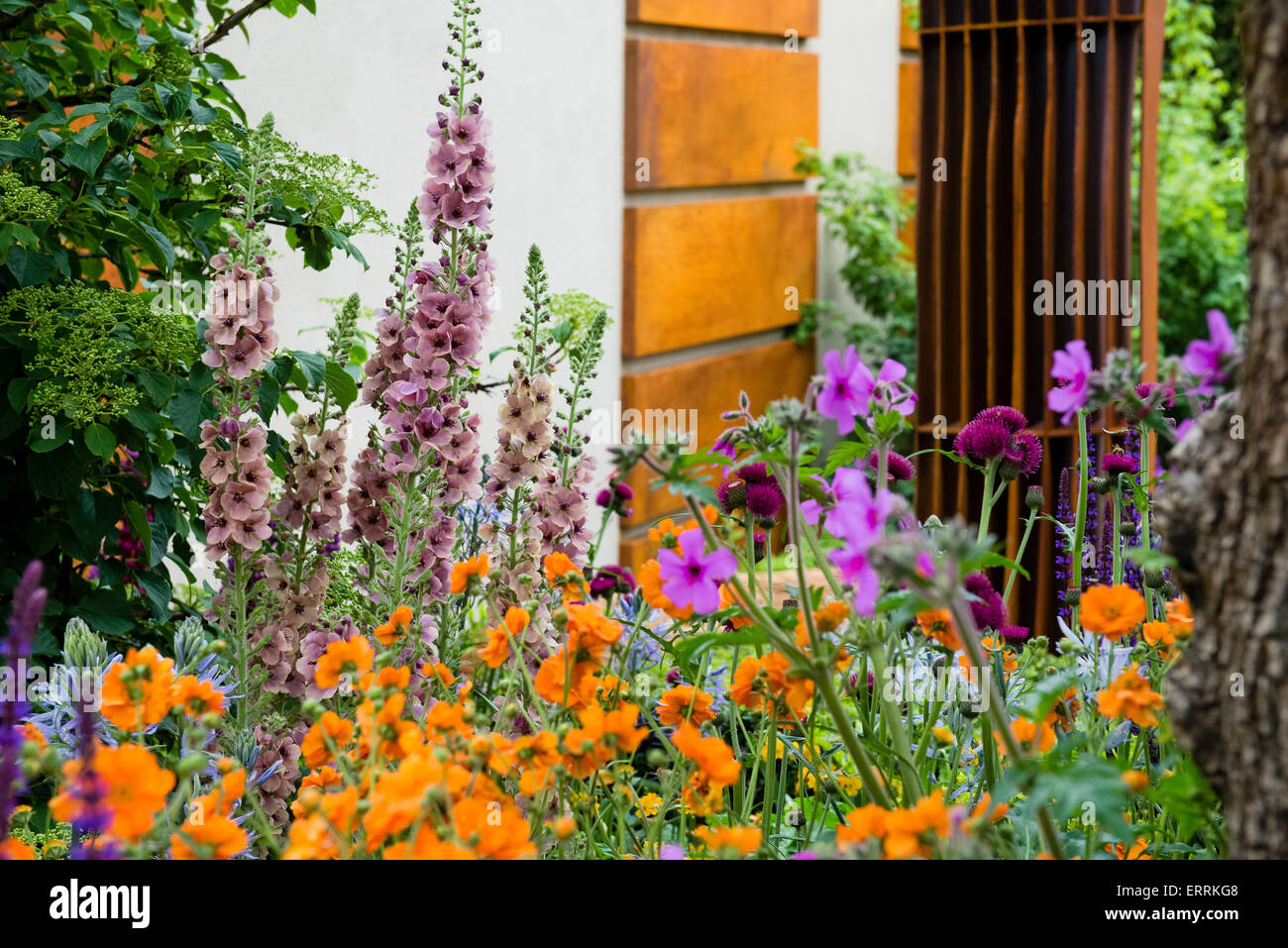 Morgan Stanley gesunde Städte Garten, Gold-Medaillengewinner, RHS Chelsea Flower Show 2015 Stockfoto