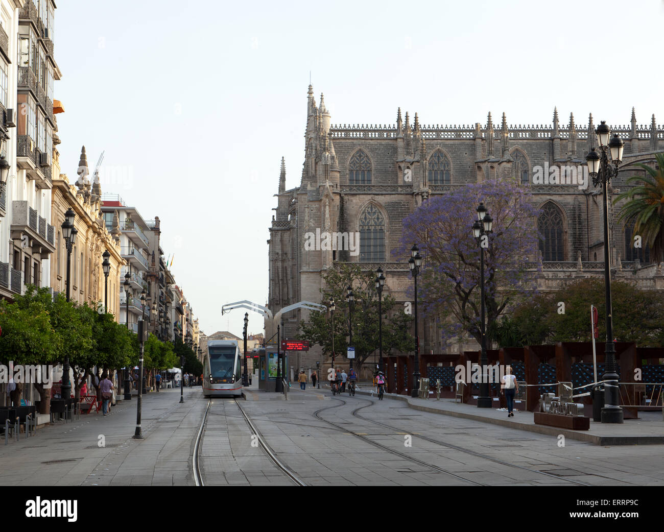 Die Kathedrale der Heiligen Maria von der See, Sevilla, Andalusien, Spanien. Stockfoto