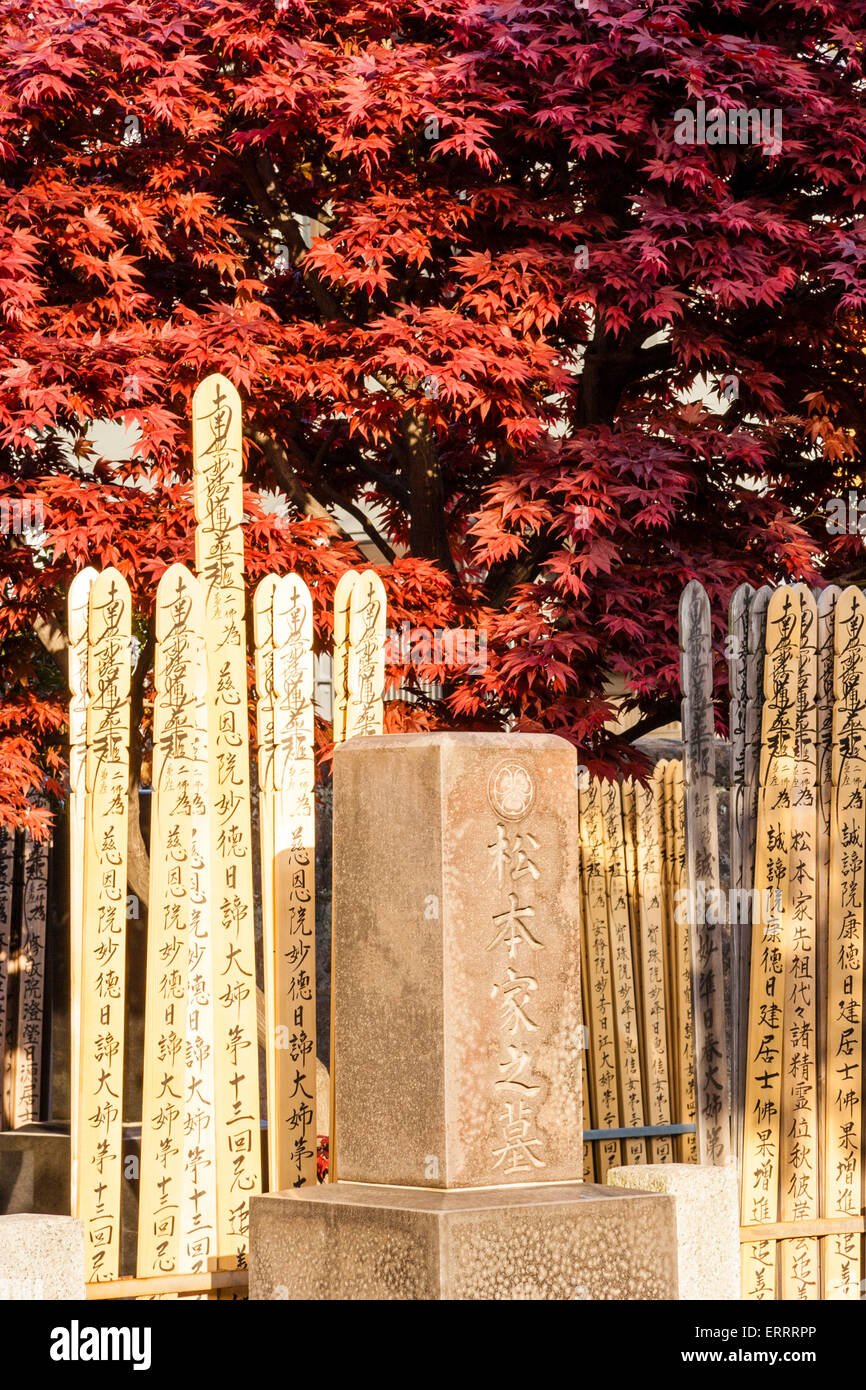 Japan, Tokio. Friedhof, Friedhof. Holzgrabmarker, Sotoba, mit japanischer Kanji-Aufschrift auf dem Hintergrund des braunen Ahorn-Baumes. Stockfoto