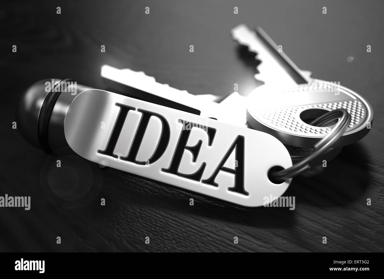 Idee-Konzept. Schlüssel mit Schlüsselring. Stockfoto