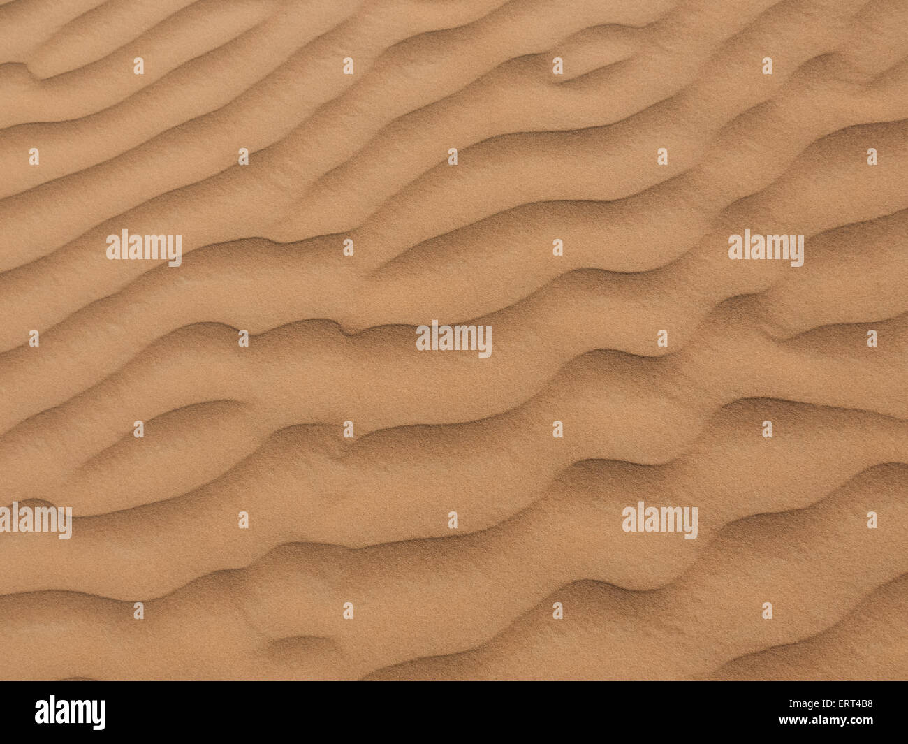 Bild ein Wellenmuster Sands als Hintergrund, einfüllen. Stockfoto