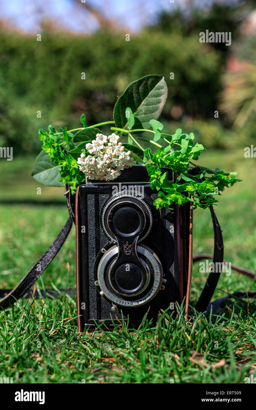 Vintage-Kamera im grünen Rasen Hintergrund. Stockfoto