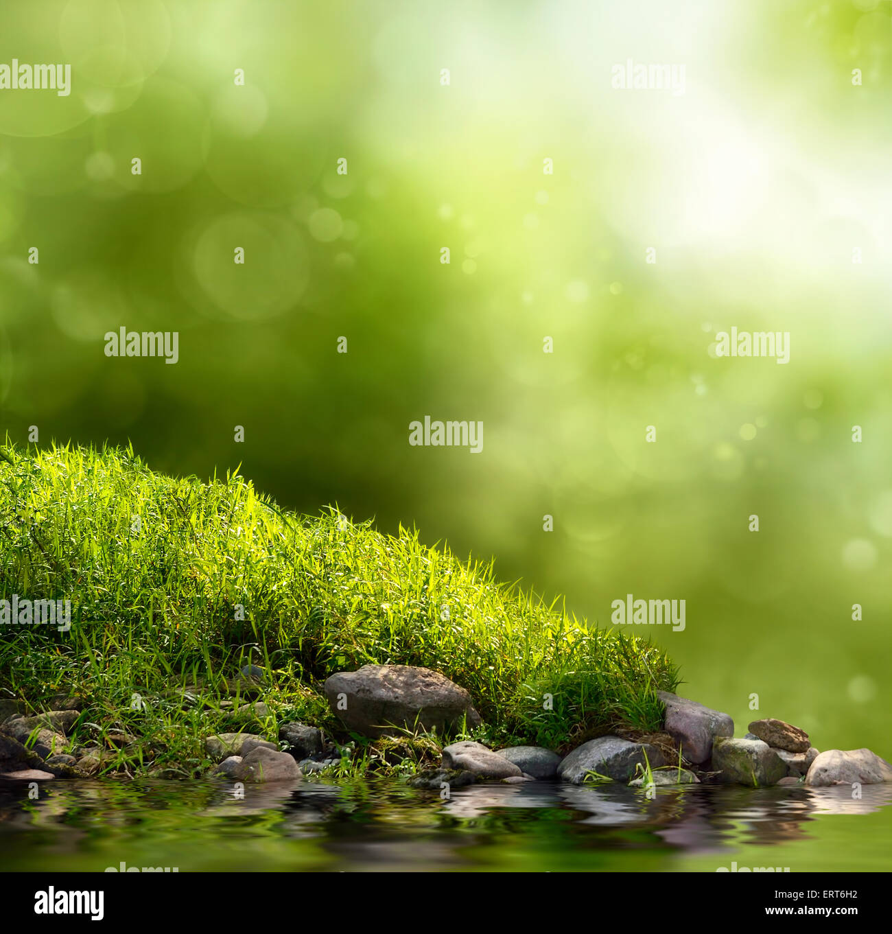 Quadratischen Sie Hintergrund mit Rasen, Steinen und Wasser im Vordergrund über aus Fokus Bäume und Sonnenlicht Stockfoto