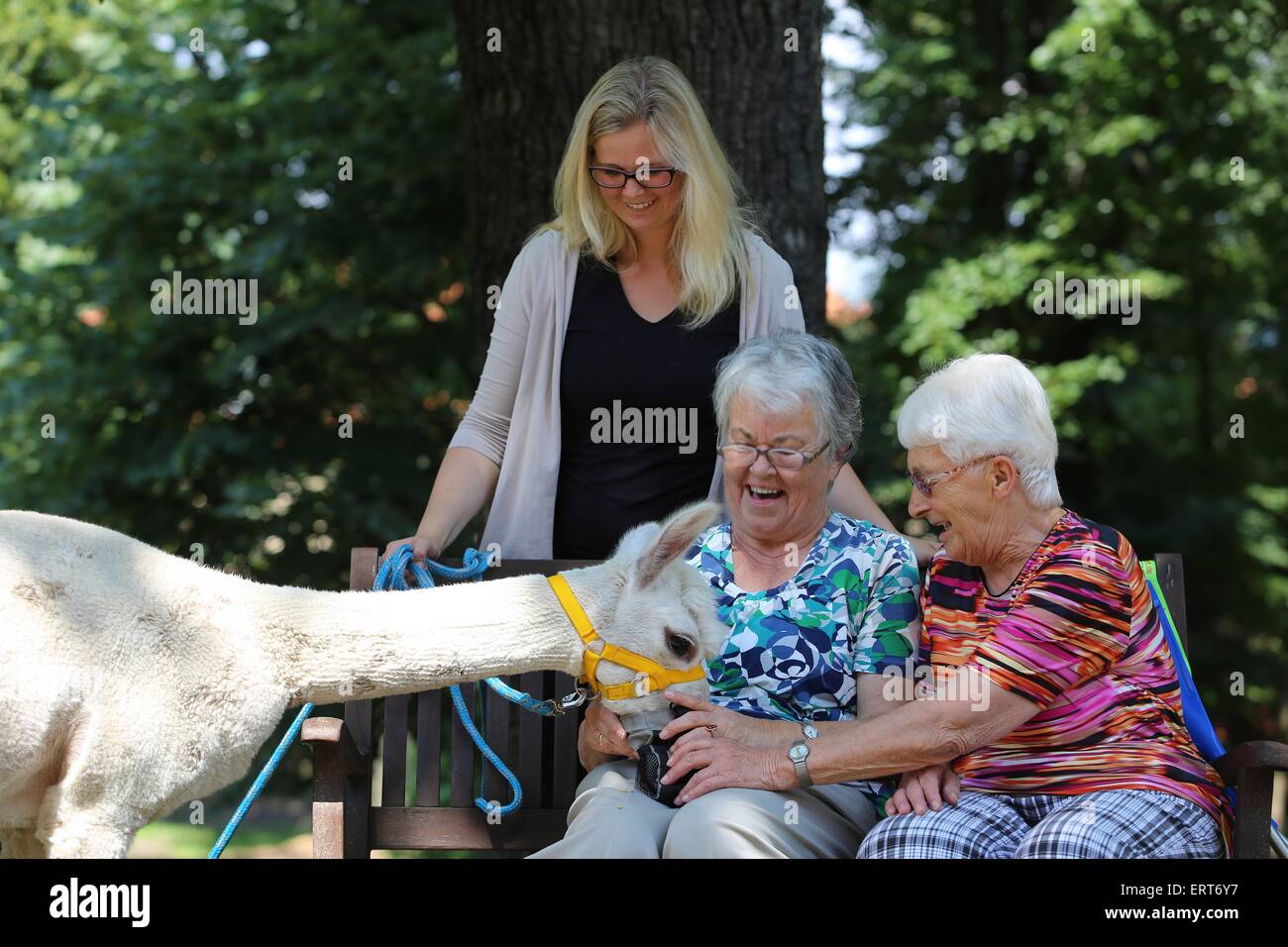 Tiergestützte Therapie Stockfoto