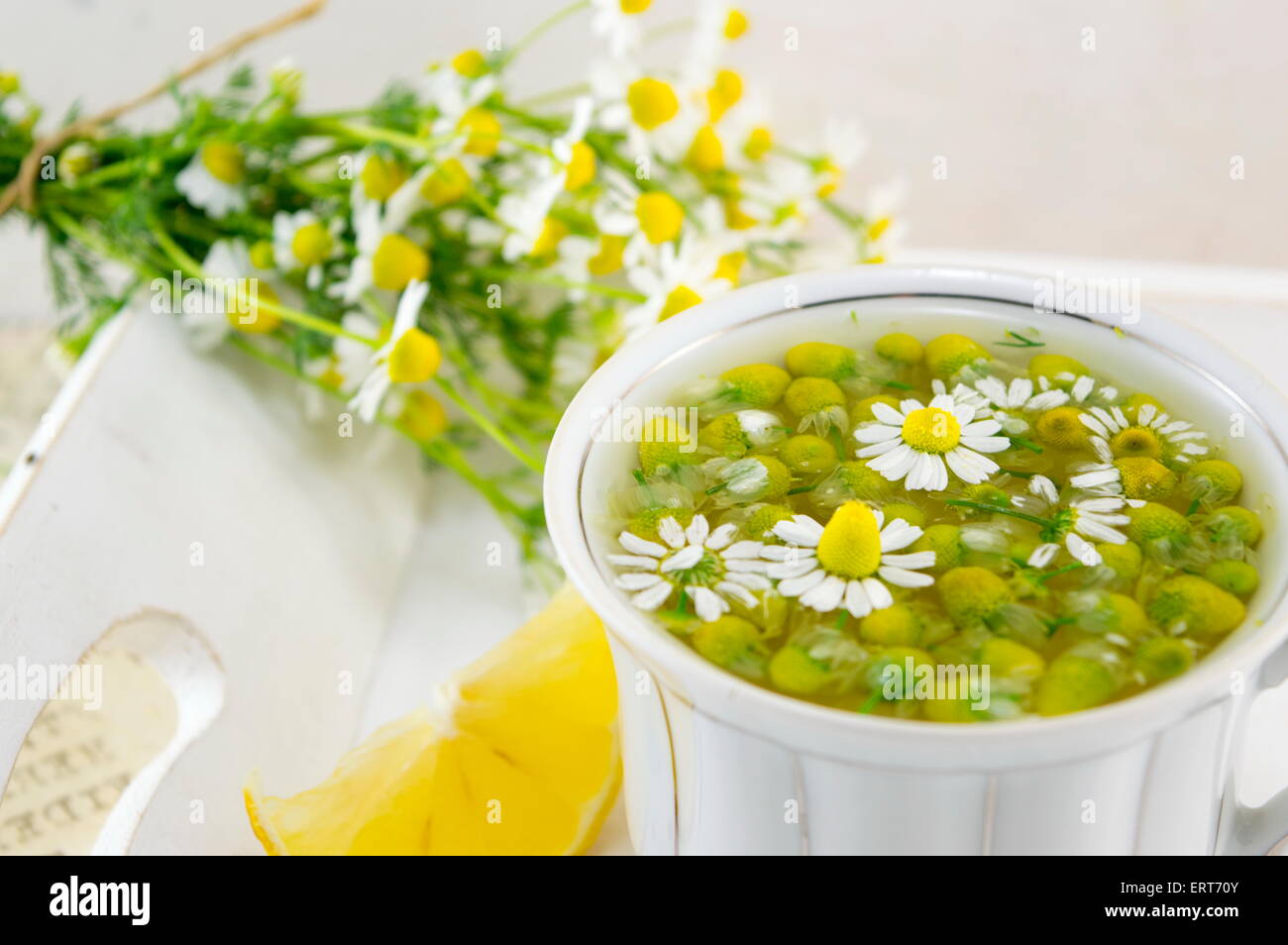 Weißes Porzellantasse gefüllt mit Kamillenblüten mit Zitrone auf einem Teller Stockfoto