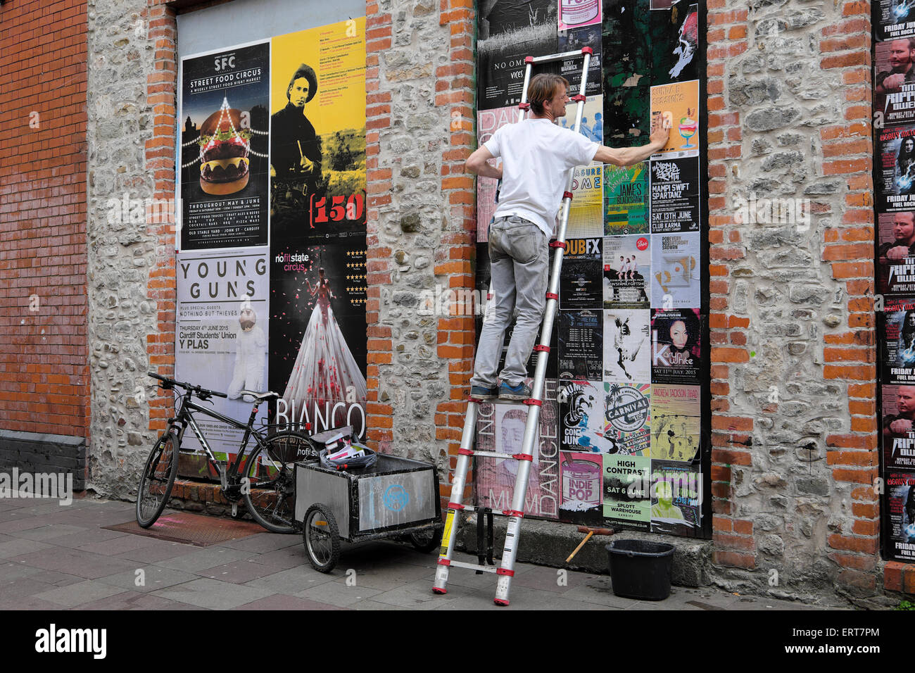 Ein Arbeiter klebt Musikplakate an die Wände draußen Clubs in der Womanby Street in Cardiff Wales Großbritannien KATHY DEWITT Stockfoto