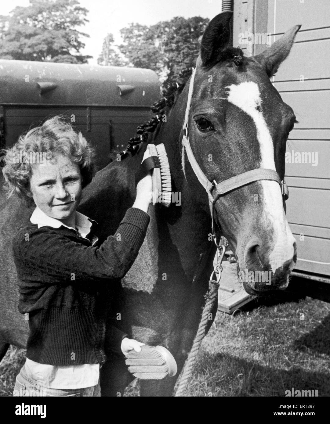 14-jährige Julie Simpson Bürsten ein Pferd bei Hutton Rudby Landwirtschaftsausstellung. 28. August 1978. Stockfoto