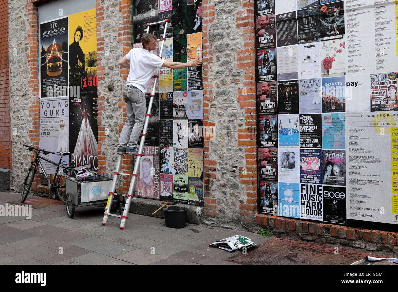 Ein Mann fügt Unterhaltung Poster an der Wand in Womanby Straße Cardiff Wales UK KATHY DEWITT Stockfoto