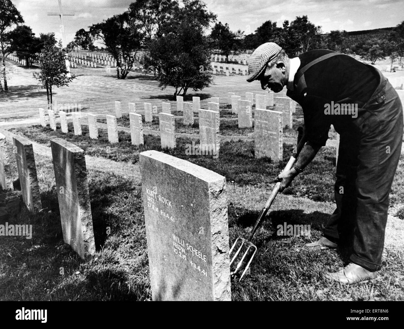 Herr Thomas Fox aufräumen Gräber auf dem deutschen Soldatenfriedhof in Cannock Chase vor sich öffnet. Deutsche Jugend-Club-Mitglieder aus Bremen und Bremerhaven hat auch geholfen. Der Friedhof enthält die Gräber von fast 5000 deutschen Soldaten der beiden Weltkriege, die zuvor in 706 Grabstätten in ganz Großbritannien beigesetzt. Ca. 1956 Stockfoto