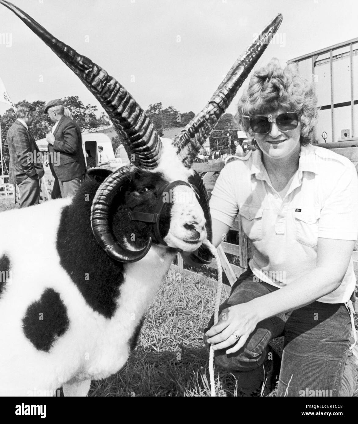 Danby landwirtschaftliche zeigen, Pat Dodsworth von Helmsley, mit "Tom", die die Tup-Klasse von der Jacob Schafen gewonnen. 12. August 1981. Stockfoto