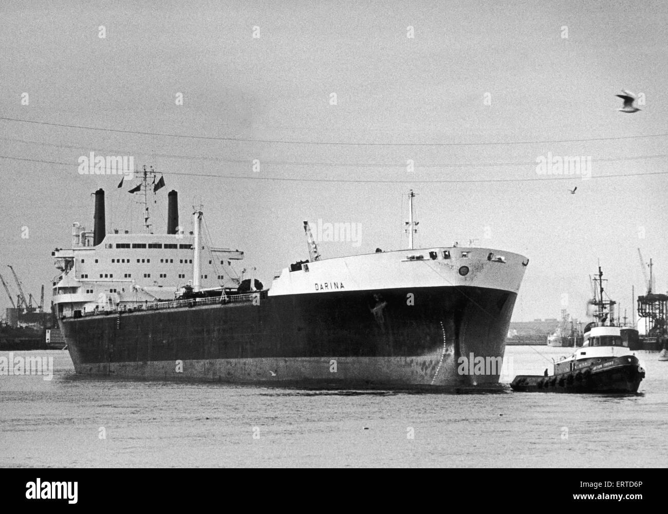 Der Shuttle-Tanker Darina gesehen hier abgeschleppt zu ihrem Liegeplatz an der Shell-Öl-terminal. 22. September 1979 Stockfoto
