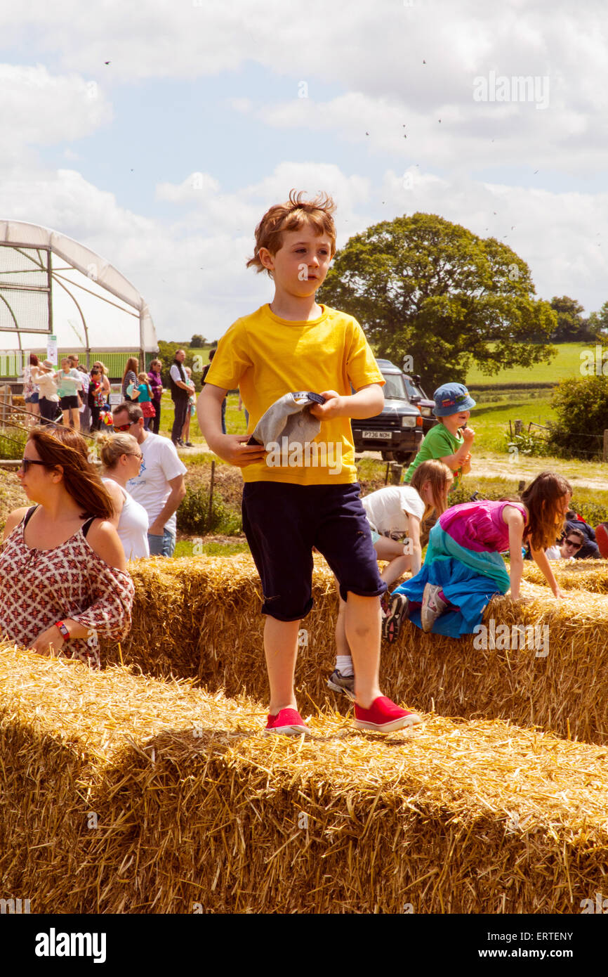 Strohballen-Labyrinth bei Cheriton mittleren Farm auf offenen Hof Sonntag, Cheriton, Hampshire, England, Vereinigtes Königreich. Stockfoto
