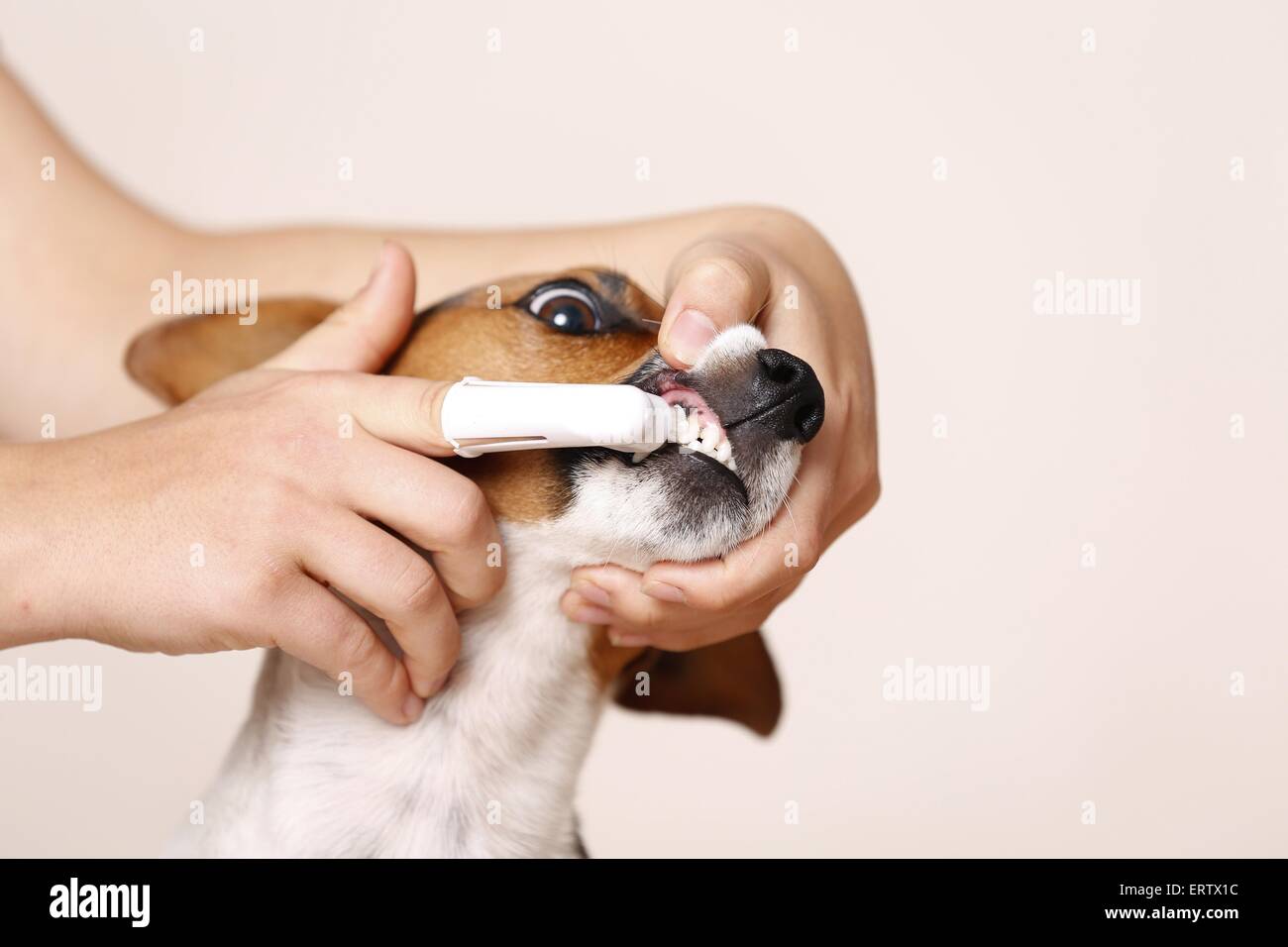 Zähneputzen Stockfoto