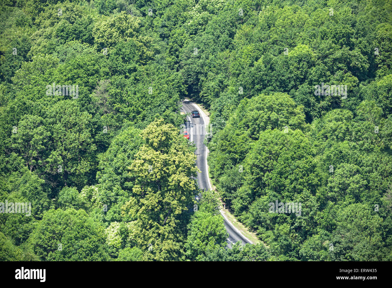 Luftaufnahme der kurvenreiche Straße durch dichten Wald. Stockfoto