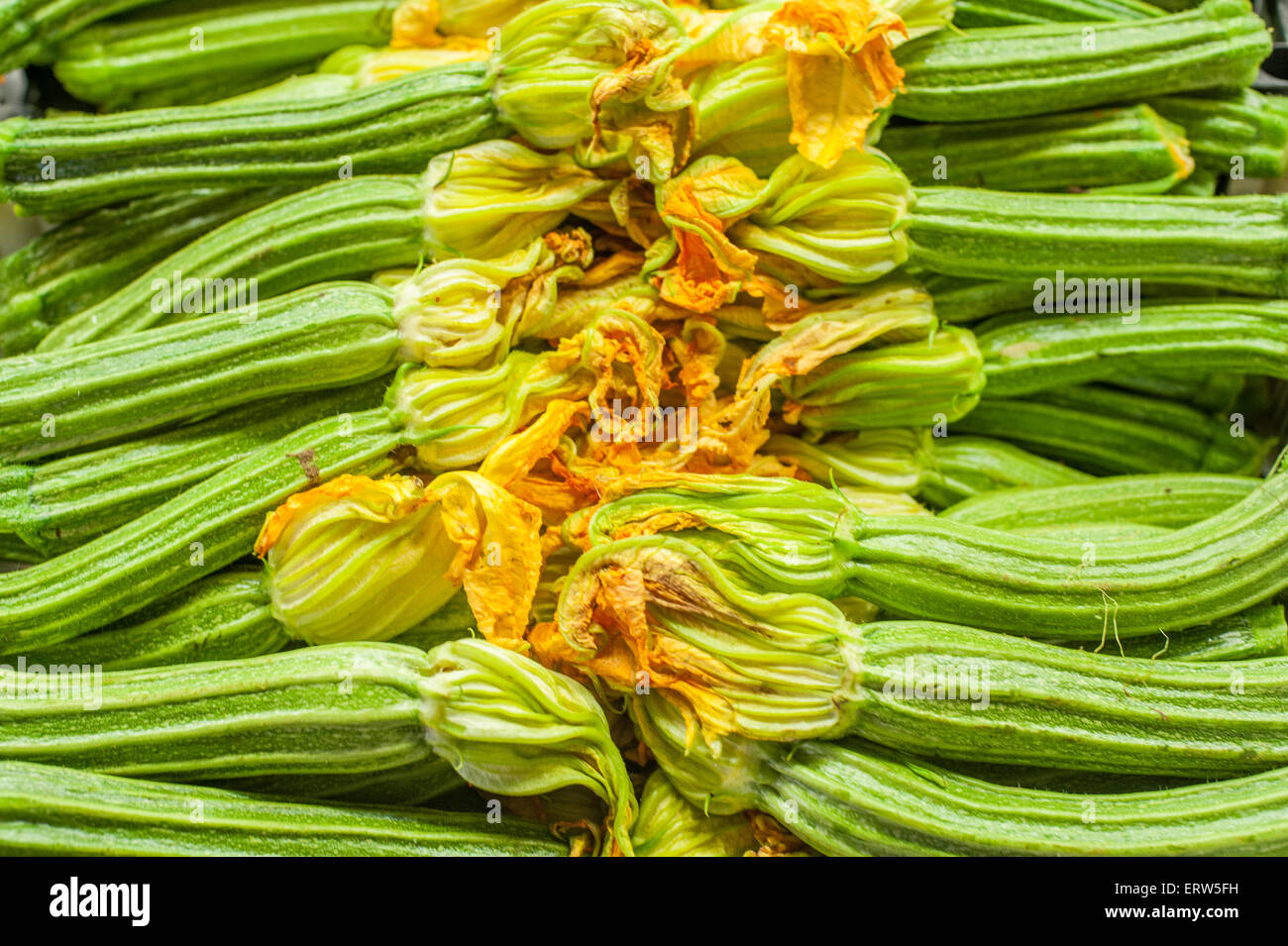 Frische rohe grüne Zucchini mit Blumen horizontale Komposition Detail im Markt Stockfoto