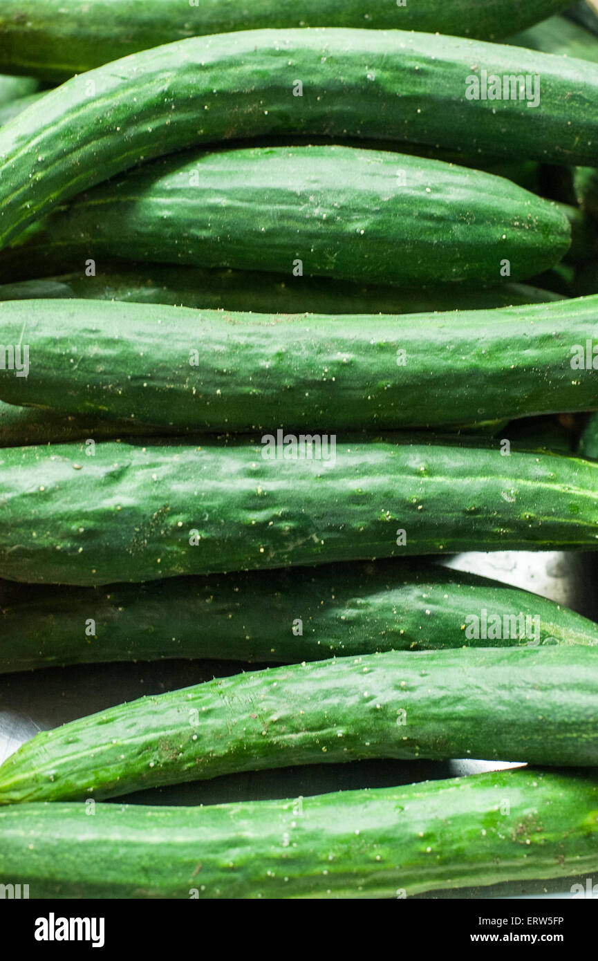 Frische rohe grüne Reihe von Gurken im Markt hautnah Stockfoto