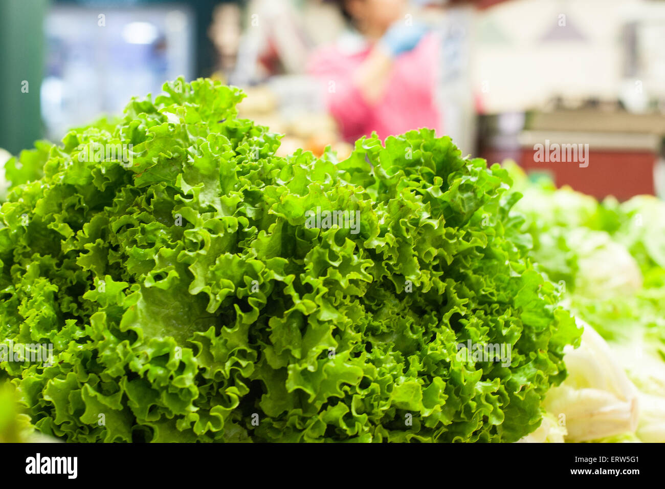 Frischen rohen grünen Salat im Markt mit Schwerpunkt Hintergrund Stockfoto