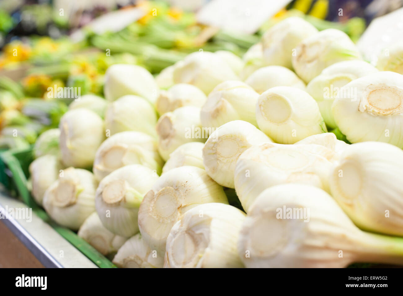 weiße Roh und frisch Fenchel Zwiebeln Heap in selektiven Marktfokus Stockfoto