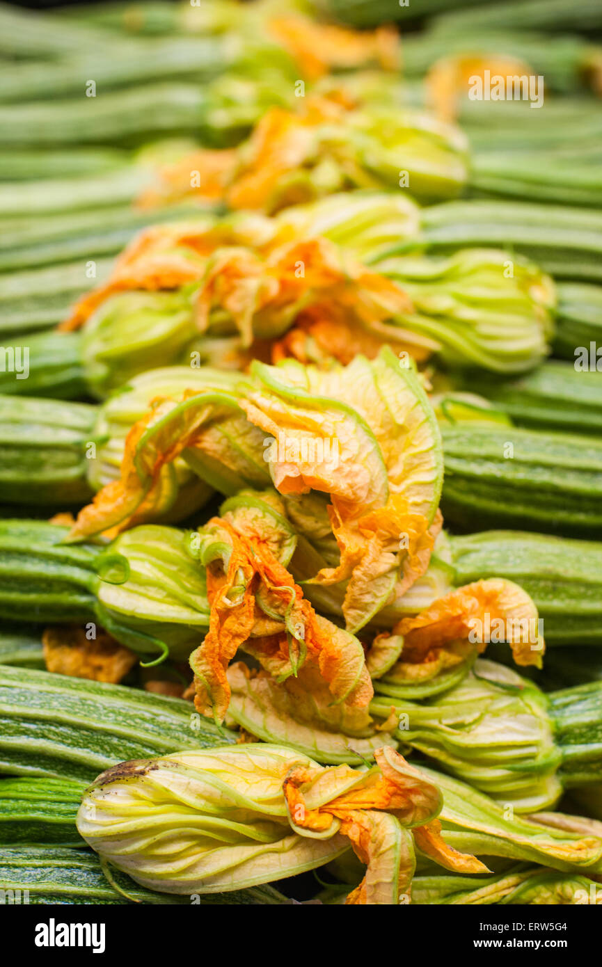 Frische rohe grüne Zucchini mit Blumen vertikale Zusammensetzung Detail selektiven Fokus Stockfoto