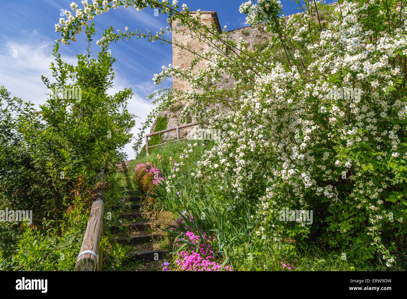 Steintreppen mitten in Fuchsia und weißen Blüten und üppigen Pflanzen mit lebendigen grünen Blättern führt zu den Ruinen einer alten italienischen Festung in eine bezaubernde Atmosphäre der historischen Erinnerungen Stockfoto