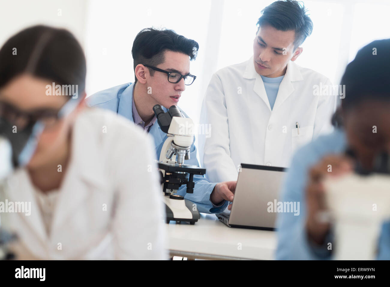 Wissenschaftler mit Mikroskopen und Laptop im Forschungslabor Stockfoto