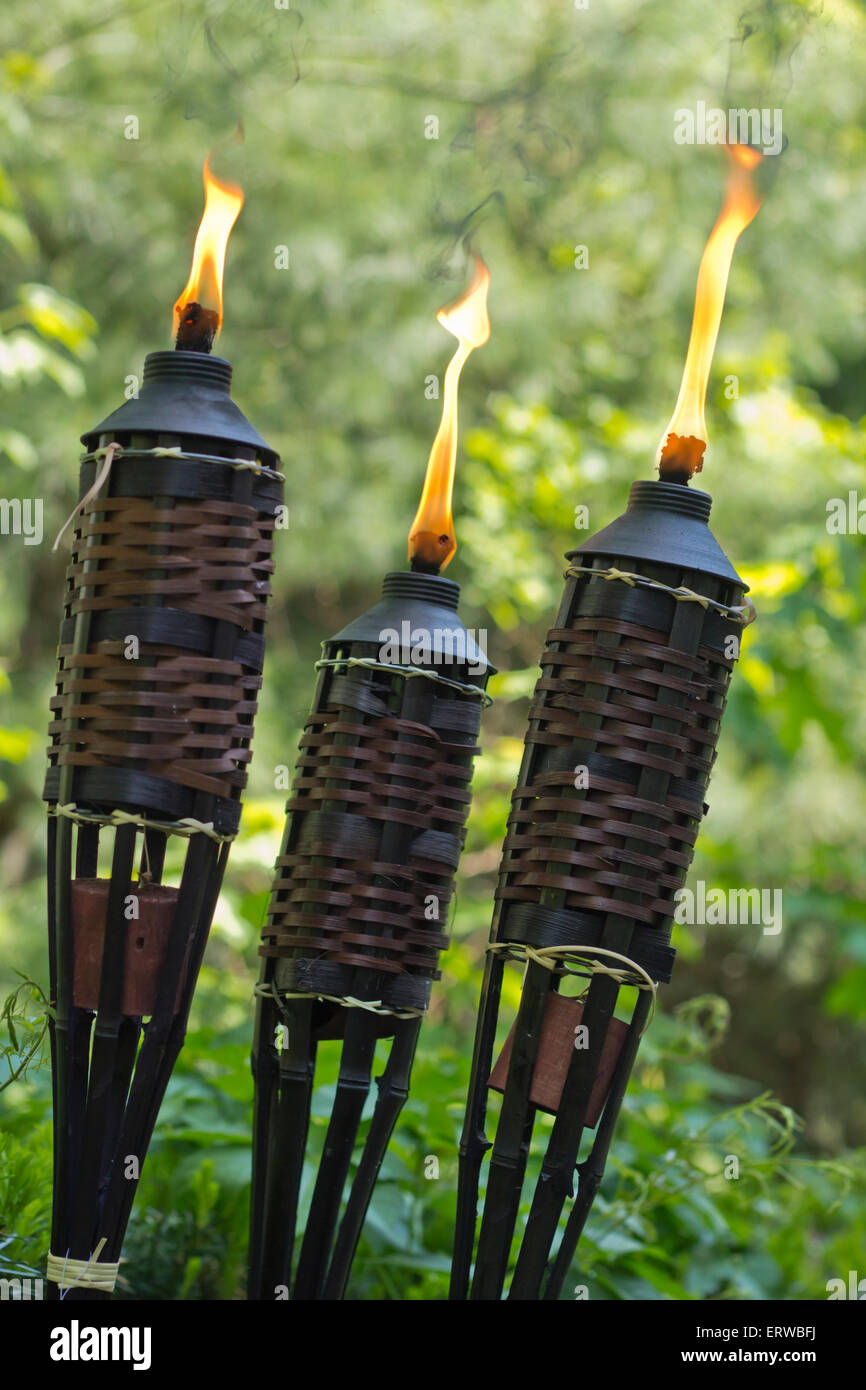 Bambus Citronella Fackeln, fiese Mcken und andere Insekten Stockfotografie  - Alamy