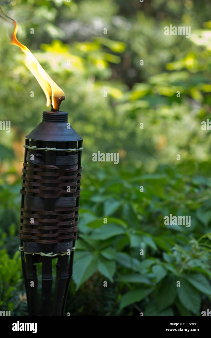 Bambus Citronella Fackeln, fiese Mcken und andere Insekten Stockfotografie  - Alamy