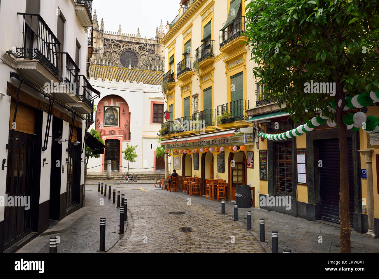 Einzelne Patron in einem Café auf Argote de Molina Straße endet an der Nordseite der Kathedrale von Sevilla Stockfoto