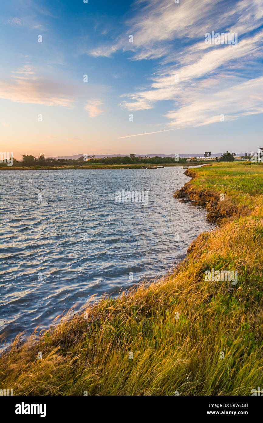 Sonnenuntergang über einem Sumpf in Moss Landing State Park, Kalifornien. Stockfoto