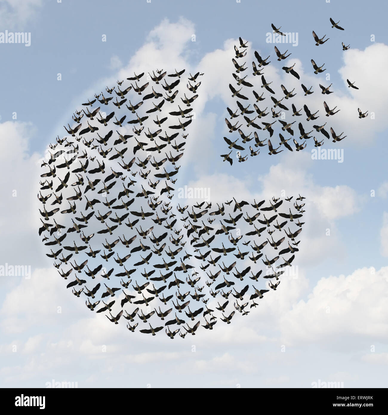 Finanzielle Kreisdiagramm Geschäftskonzept als eine Gruppe von fliegenden Vögel oder Gänse in einer Herde als einen Kreis geformt segmentiert Finanzen Grafik als eine Infografik Anteil Verlust oder Handel mit Aktien des Unternehmens für neue Investitionsmöglichkeit. Stockfoto