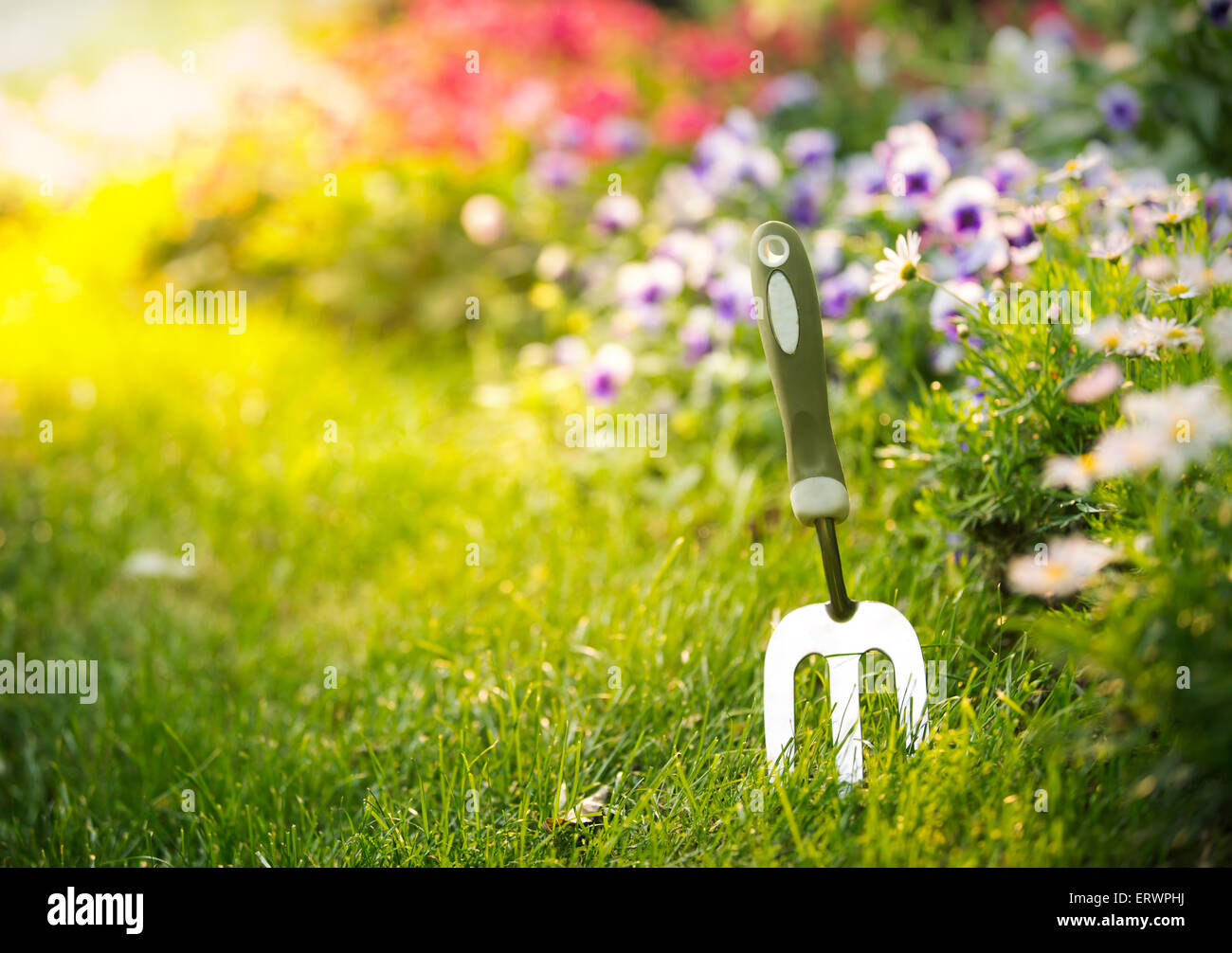 Garten-Werkzeug und Blume im Garten, Frühjahr Saison Konzept. Stockfoto
