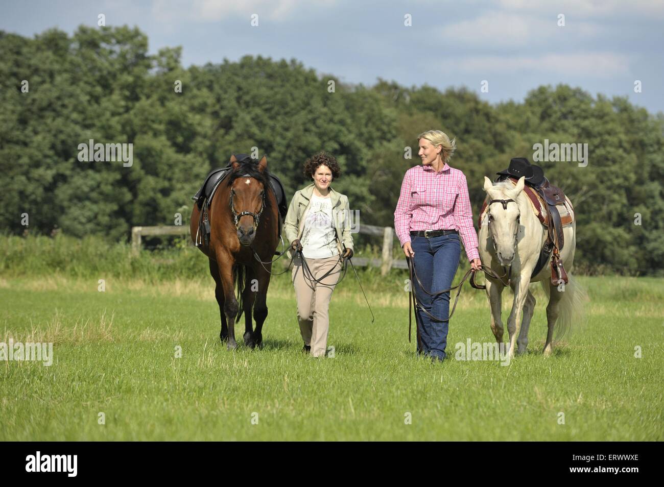 Frau mit Pferden Stockfoto