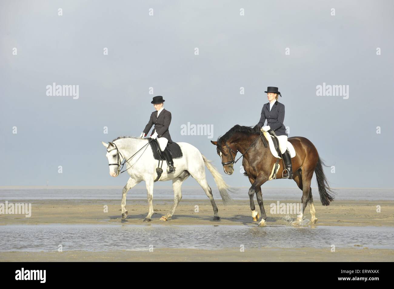 Frau reitet Pferde Stockfoto